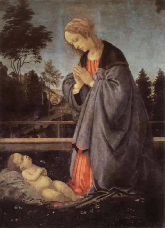 Filippino Lippi adoration of the child Germany oil painting art